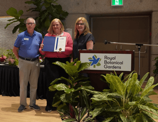 Screenshot 2025-06-24 170653