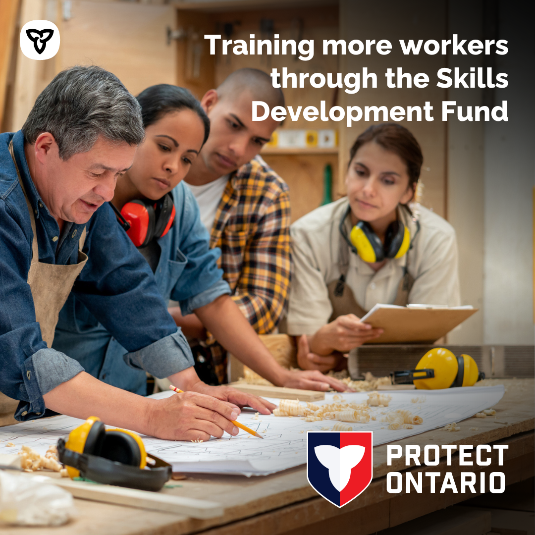 skills development fund 6