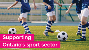 Investing in Sport Organizations and Community Recreation