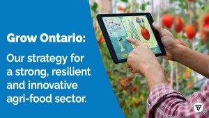 Ontario Unveils Plan to Strengthen Food Supply Chain from Farm to Fork