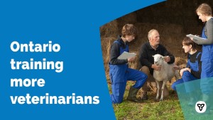 Ontario Improving Access to Veterinary Care in Remote and Northern Communities