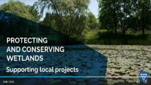 Making Historic Investments in Wetland Restoration