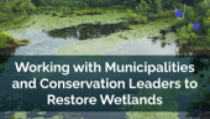 Ontario Investing in Wetlands Restoration in Burlington